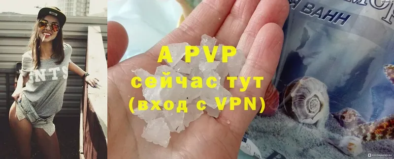 APVP СК КРИС  Шлиссельбург 