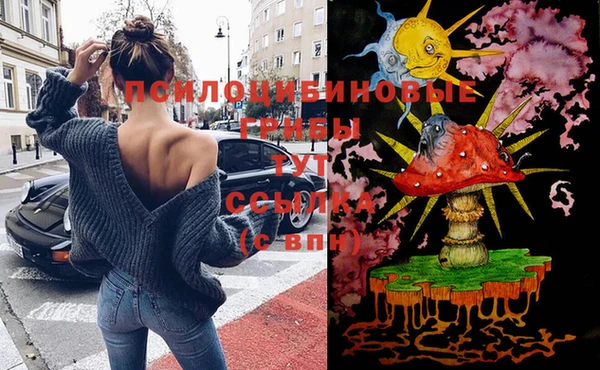тгк Нефтегорск