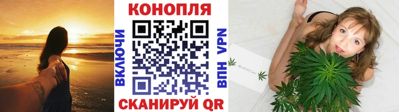 Марихуана сатива Шлиссельбург